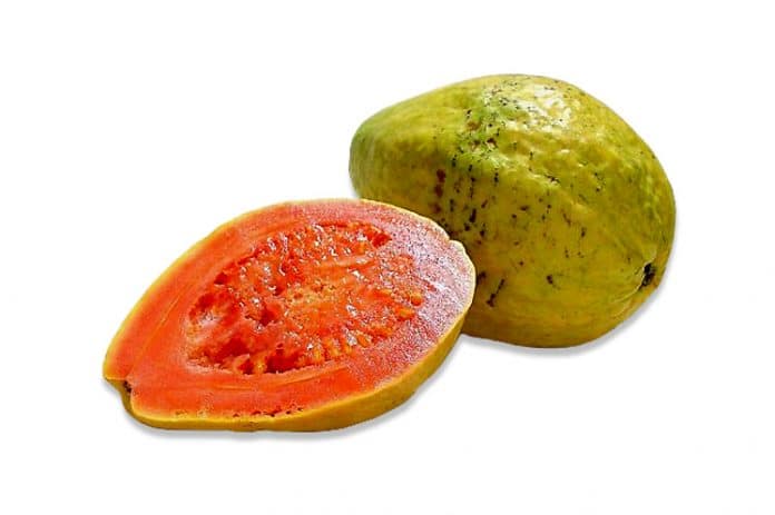Guayaba - Frutas tropicales presentes en Cuba